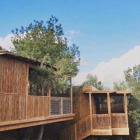 Villa Occitana Calvisson Exteriér fotografie