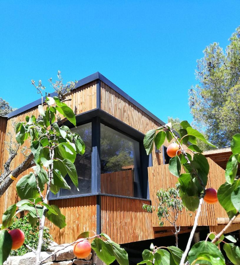 Villa Occitana Calvisson Exteriér fotografie