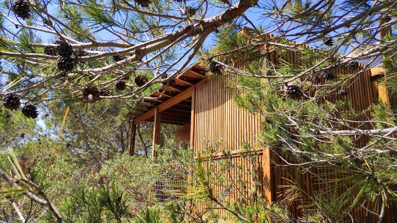 Villa Occitana Calvisson Exteriér fotografie